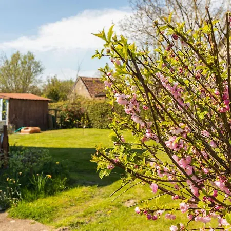 Cosy Flat In With Garden 아파트 Niepars